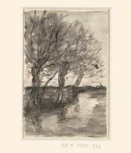Alberi lungo un fossato