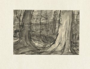 Vista tra gli alberi da Sientje Mesdag van Houten