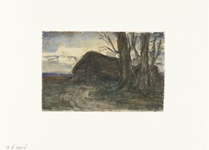 Ovile vicino agli alberi al tramonto