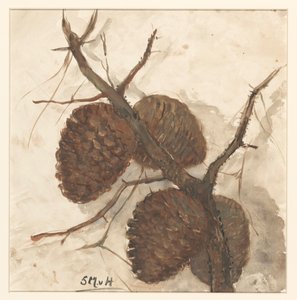 Pigne su un ramo da Sientje Mesdag van Houten