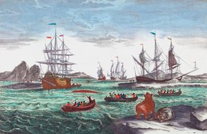 Flotta baleniera al largo della Groenlandia nel XVIII secolo da Sieuwert van der Meulen