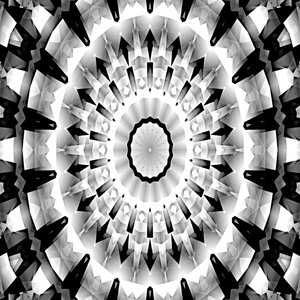 Sinfonia in bianco e nero da Silvia Martini