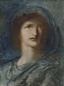 Testa di una giovane ragazza