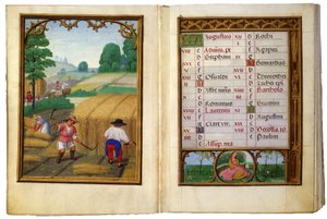Agosto - Mietitura del grano, legatura dei covoni da Simon Bening