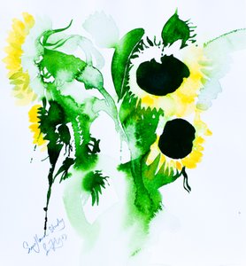 Studio sul girasole, 2005 (acquerello)
