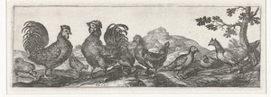 Pollame da Simon Frisius