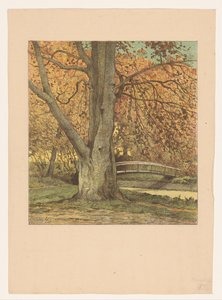 Albero vicino al ruscello in autunno da Simon Moulijn (attributed to)