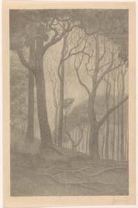 Alberi