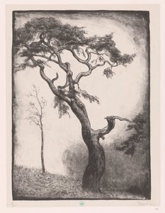 Pino da Simon Moulijn (signed by artist)