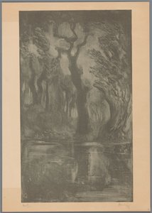 Acqua nel bosco (Bosco dei sogni) da Simon Moulijn (signed by artist)