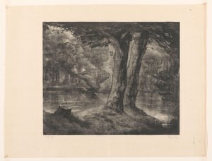 Acqua in una foresta da Simon Moulijn (signed by artist)