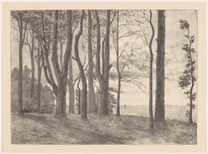 Alberi sull
