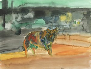 Coyote di città, 2019 da Simon Neville