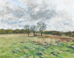 Richmond Park (olio su tela)