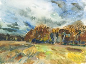 Richmond Park, 2018 (acquerello su carta) da Simon Neville