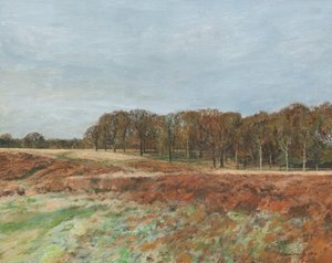 Richmond Park, 2019 (olio su tela) da Simon Neville