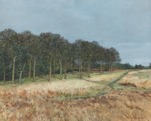 Bosco, Richmond Park, 2019 (olio su tela)