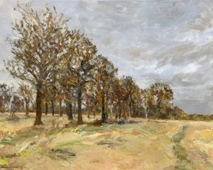 Bosco, Richmond Park n. 6, 2022