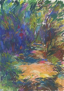 Sentiero nel bosco n. 24