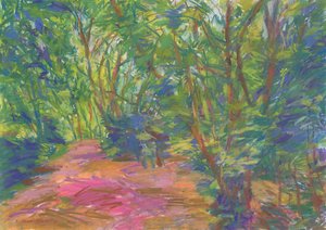 Sentiero nel bosco n. 29, 2024