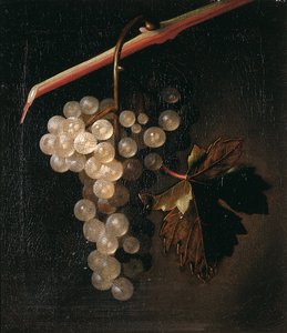 Un grappolo d