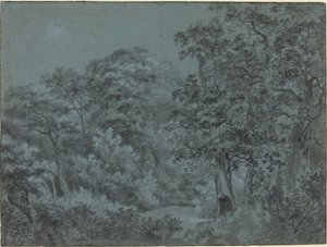 Nel bosco dell