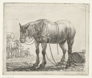 Cavallo da lavoro a riposo