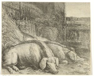 Due maiali da Simon de Vlieger