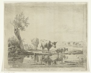 Paesaggio di pascolo con mucche vicino all