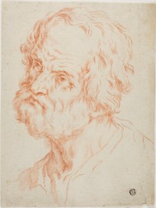 Testa maschile da Simone Cantarini