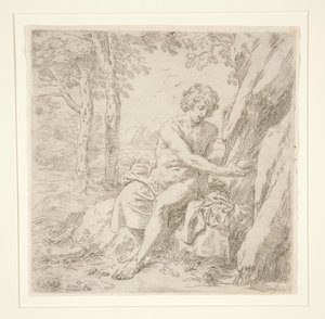 San Giovanni Battista nel Deserto da Simone Cantarini