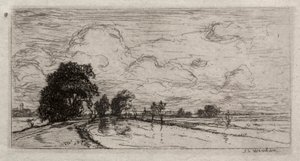 Paesaggio allagato con alberi