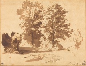 Il Bordo di un Bosco