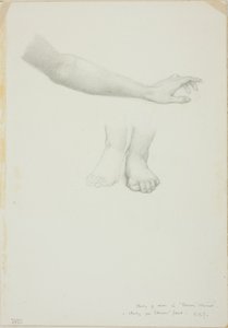 Braccio e Piedi, studio per Specchio di Venere da Sir Edward Burne Jones