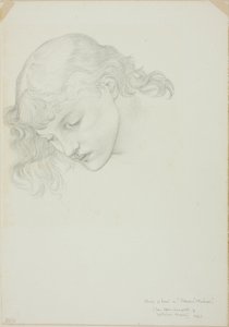 Testa, studio per Specchio di Venere