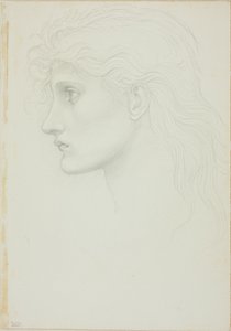 Testa di Ragazza Rivolta a Sinistra da Sir Edward Burne Jones