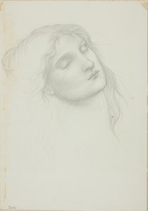 Testa di donna con occhi chiusi da Sir Edward Burne Jones