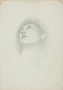 Testa di donna con il viso rivolto verso l