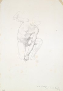 Studio per Cupido