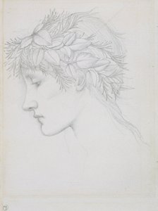 Testa coronata di foglie, 1897