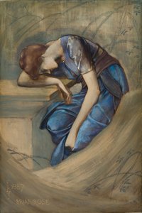 La Serie della Rosa Canina - Studio per 