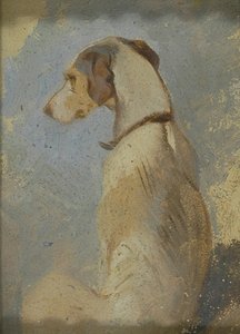 Studio di un levriero da Sir Edwin Henry Landseer