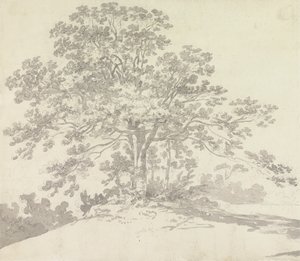 Albero da Sir George Howland Beaumont seventh Baronet