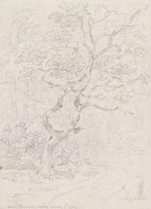 Alberi, vicino a Losanna da Sir George Howland Beaumont seventh Baronet
