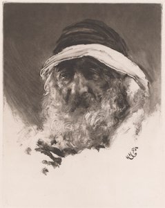 Testa di un arabo