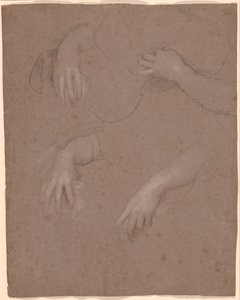 Disegni di Mani