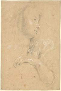 Giovane donna di profilo da Sir Peter Paul Rubens