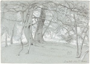 Alberi a Box Hill da Sir William Blake Richmond