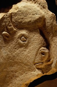 Scultura in bassorilievo di un bisonte, calcare di sedicimila anni