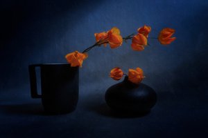 Natura morta con lanterne autunnali da Siyu_Wei APA